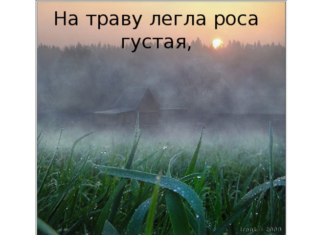 На траву легла роса густая,