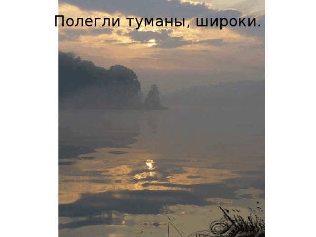 Полегли туманы, широки.