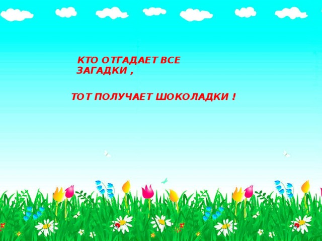  КТО ОТГАДАЕТ ВСЕ ЗАГАДКИ ,  ТОТ ПОЛУЧАЕТ ШОКОЛАДКИ ! 