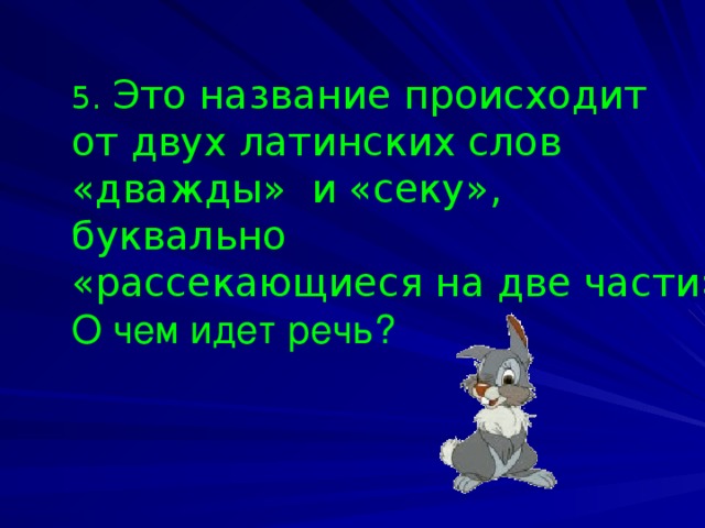 5.  Это название происходит от двух латинских слов «дважды» и «секу», буквально «рассекающиеся на две части». О чем идет речь?