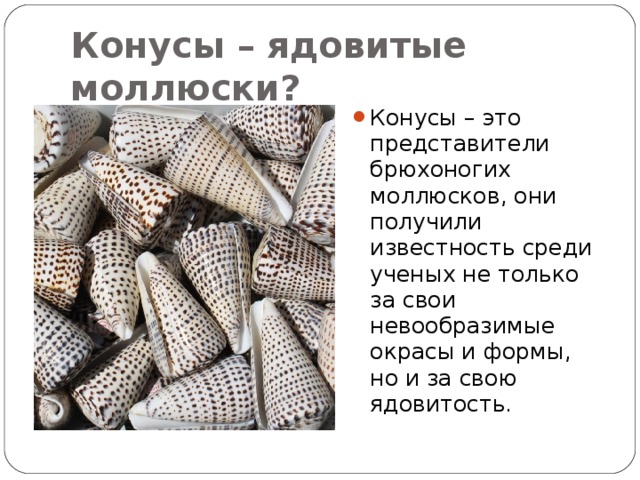 Палатка