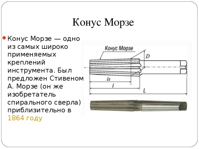 Конусы – ядовитые моллюски?