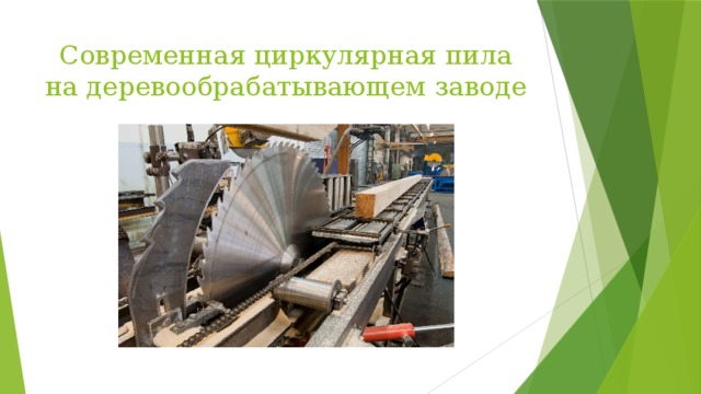 Современная циркулярная пила на деревообрабатывающем заводе 