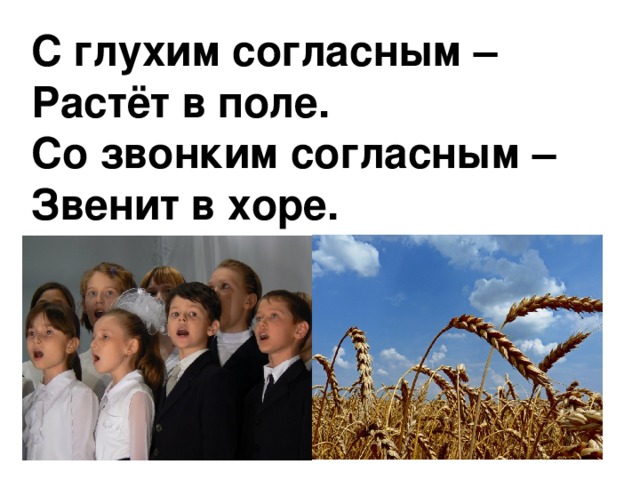 С глухим согласным – Растёт в поле. Со звонким согласным – Звенит в хоре. .олос - .олос. Колос - голос. 