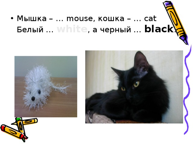 Мышка – … mouse, кошка – … cat  Белый … white , а черный … black . 
