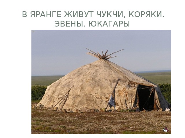  В яранге живут чукчи, коряки. эвены. юкагары 