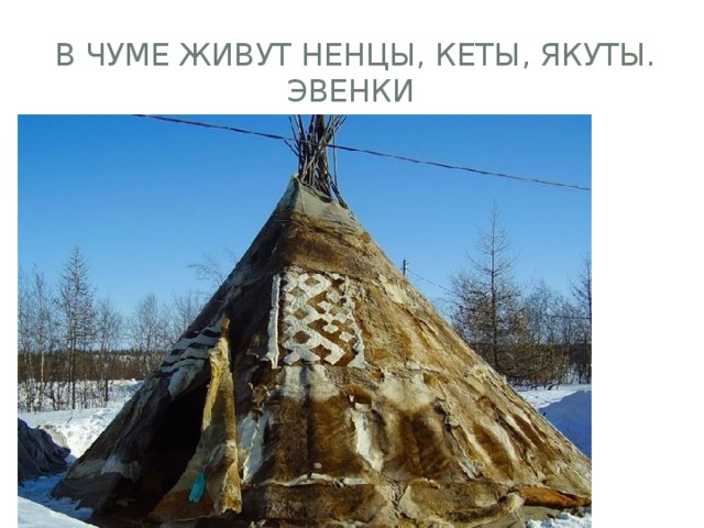  В чуме живут ненцы, кеты, якуты. эвенки 