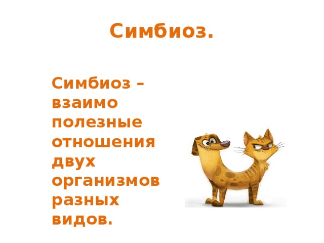 Симбиоз. Симбиоз – взаимо полезные отношения двух организмов разных видов. Симбиоз  