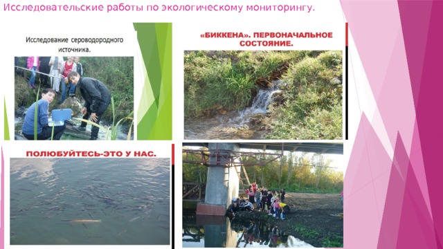 Исследовательские работы по экологическому мониторингу.  