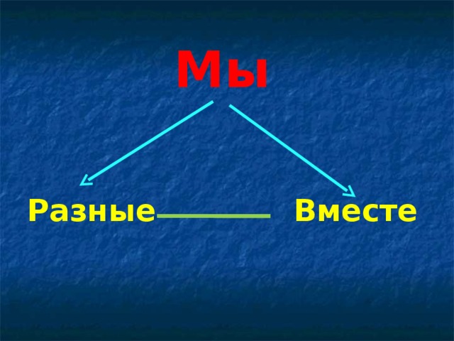 Мы   Разные    Вместе 