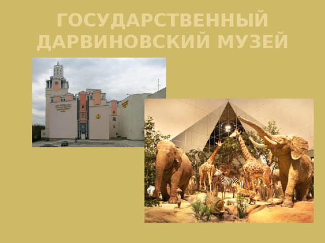 Дарвиновский музей схема здания