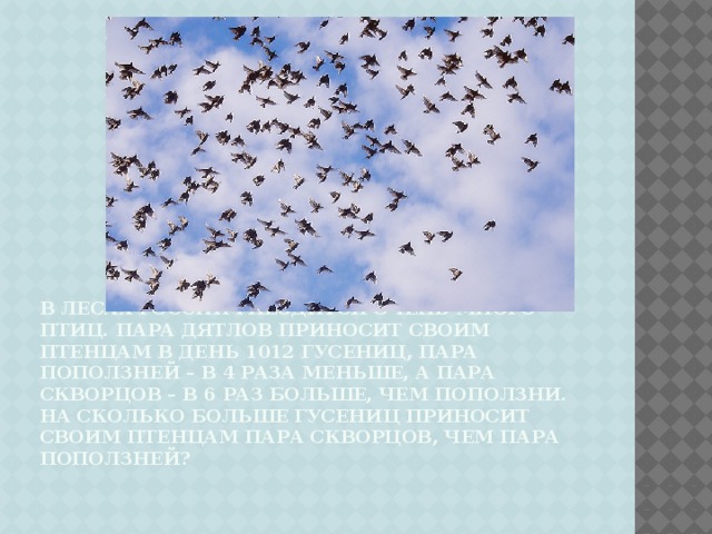 В лесах России гнездится очень много птиц. Пара дятлов приносит своим птенцам в день 1012 гусениц, пара поползней – в 4 раза меньше, а пара скворцов – в 6 раз больше, чем поползни. На сколько больше гусениц приносит своим птенцам пара скворцов, чем пара поползней?