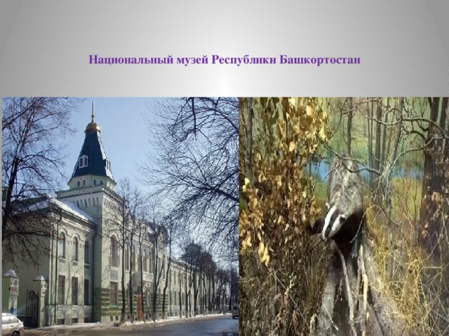   Национальный музей Республики Башкортостан   