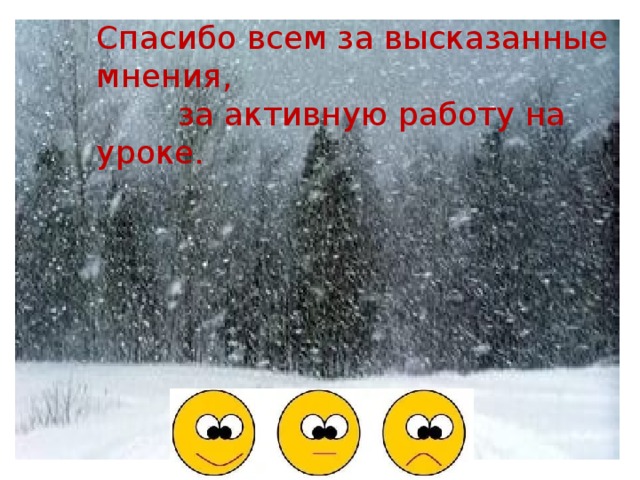 Спасибо всем за высказанные мнения,  за активную работу на уроке. 