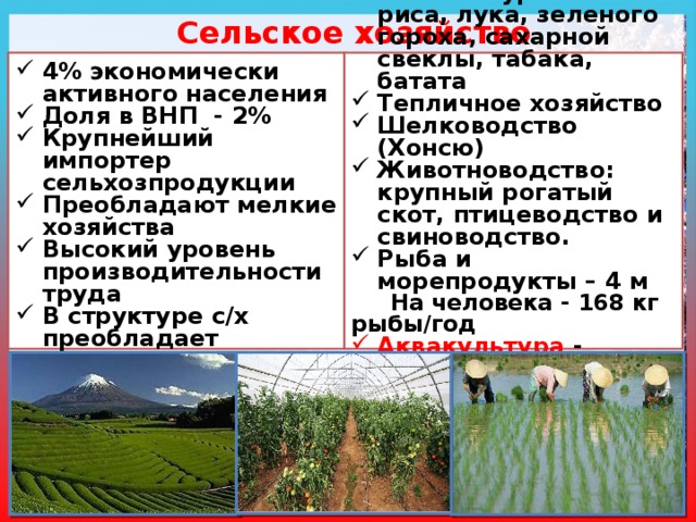 Сельское хозяйство 4% экономически активного населения Доля в ВНП - 2% Крупнейший импортер сельхозпродукции Преобладают мелкие хозяйства Высокий уровень производительности труда В структуре с/х преобладает растениеводство Обрабатываемые площади - 9% Высокие урожаи риса, лука, зеленого гороха, сахарной свеклы, табака, батата Тепличное хозяйство Шелководство (Хонсю) Животноводство: крупный рогатый скот, птицеводство и свиноводство. Рыба и морепродукты – 4 м  На человека - 168 кг рыбы/год Аквакультура - искусственное выращивание рыбы и морепродуктов 