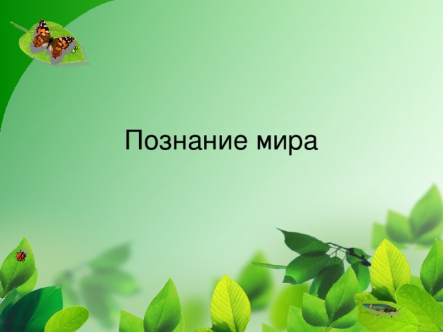 Познание мира