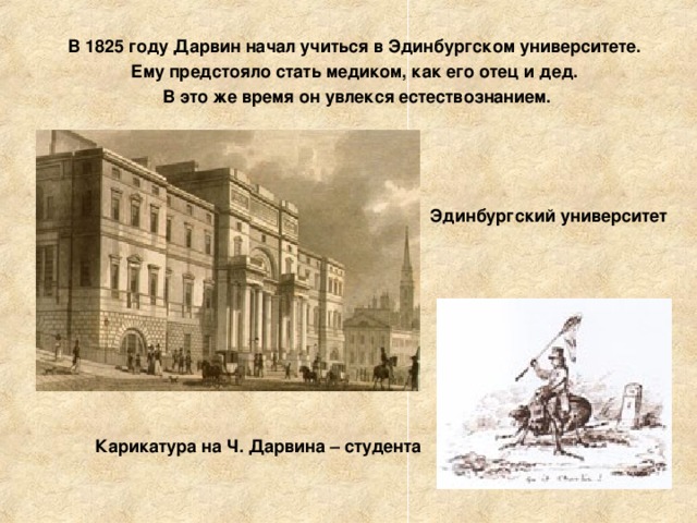 В 1825 году Дарвин начал учиться в Эдинбургском университете. Ему предстояло стать медиком, как его отец и дед. В это же время он увлекся естествознанием. Эдинбургский университет Карикатура на Ч. Дарвина – студента 