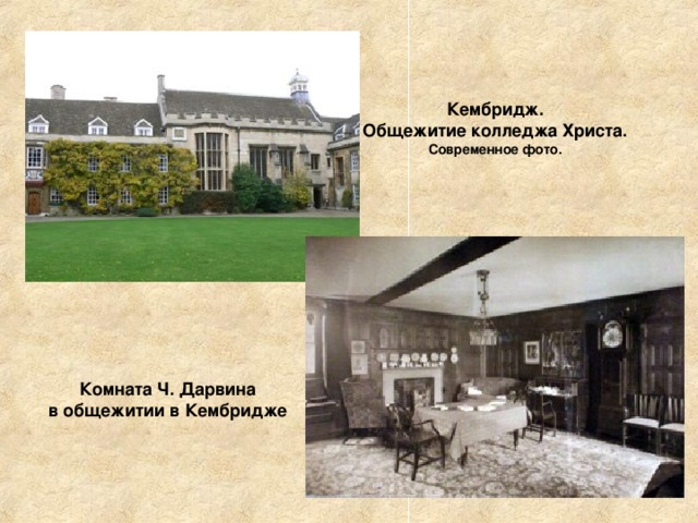Кембридж.  Общежитие колледжа Христа.  Современное фото. Комната Ч. Дарвина  в общежитии в Кембридже 