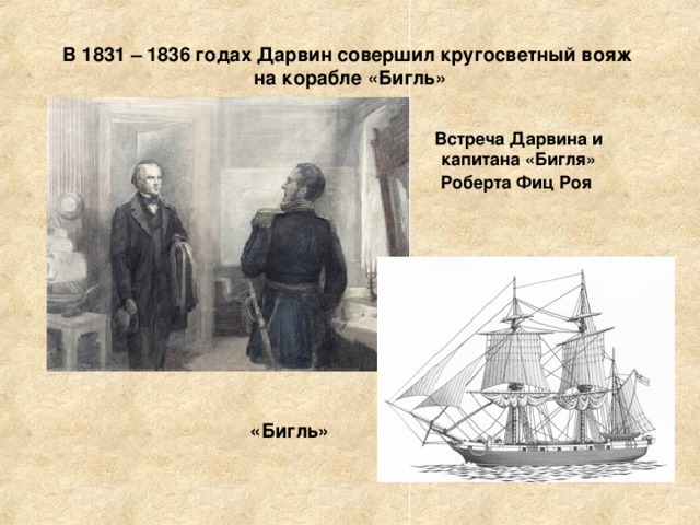 В 1831 – 1836 годах Дарвин совершил кругосветный вояж  на корабле «Бигль» Встреча Дарвина и капитана «Бигля»  Роберта Фиц Роя    «Бигль»   