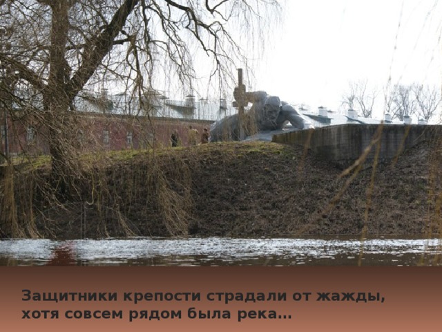 Шумели не умолкая