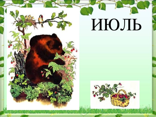 В бианки май презентация