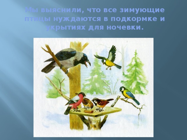 Мы выяснили, что все зимующие птицы нуждаются в подкормке и укрытиях для ночевки. 