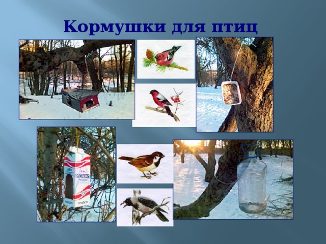 Кормушки для птиц Кормушки для птиц 