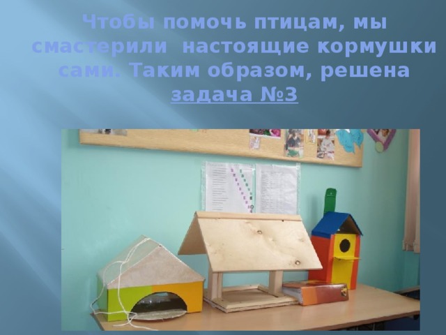 Чтобы помочь птицам, мы смастерили настоящие кормушки сами. Таким образом, решена задача №3 