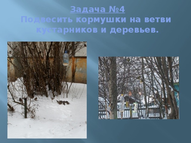 Задача №4  Подвесить кормушки на ветви кустарников и деревьев. 