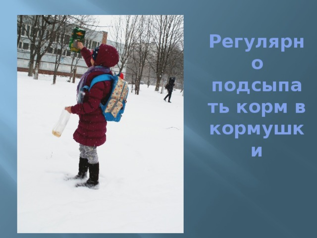  Регулярно подсыпать корм в кормушки 