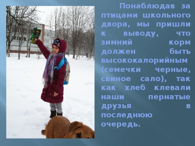  Понаблюдав за птицами школьного двора, мы пришли к выводу, что зимний корм должен быть высококалорийным(семечки черные, свиное сало), так как хлеб клевали наши пернатые друзья в последнюю очередь. 