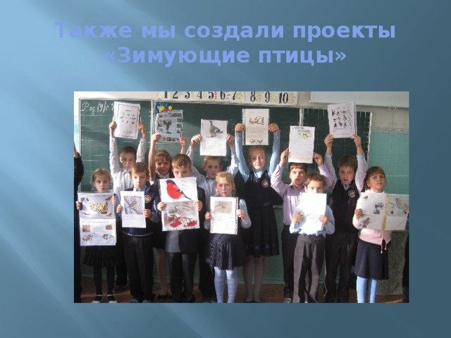 Также мы создали проекты «Зимующие птицы» 