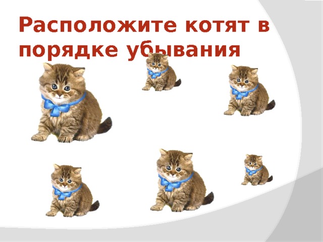 Расположите котят в порядке убывания Нарисовать стрелки  
