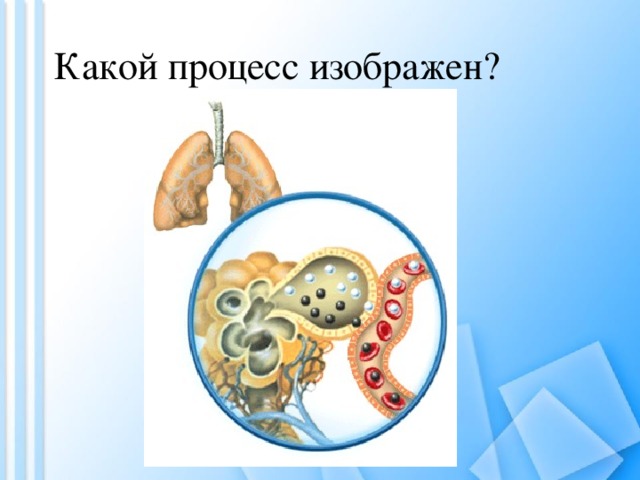 Какой процесс изображен? 