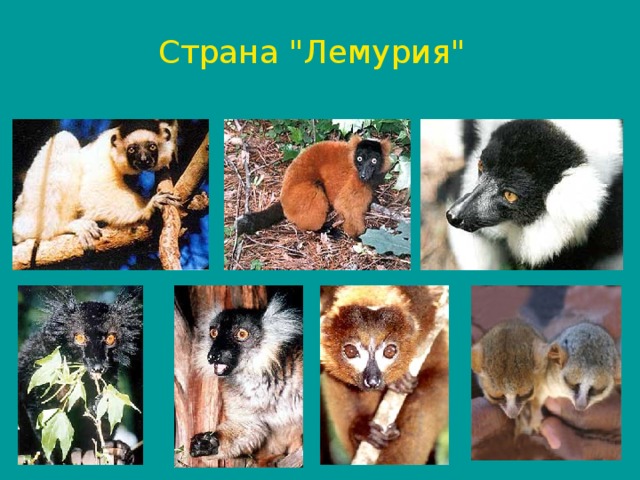 Страна 