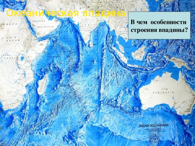 Океаническая впадина В чем особенности строения впадины? 