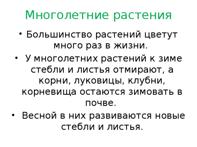 Многолетние растения Большинство растений цветут много раз в жизни.  У многолетних растений к зиме стебли и листья отмирают, а корни, луковицы, клубни, корневища остаются зимовать в почве.  Весной в них развиваются новые стебли и листья. 