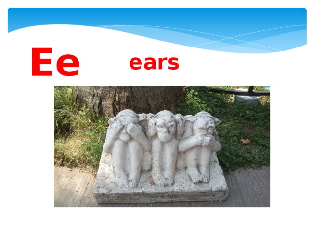 Ee  ears 
