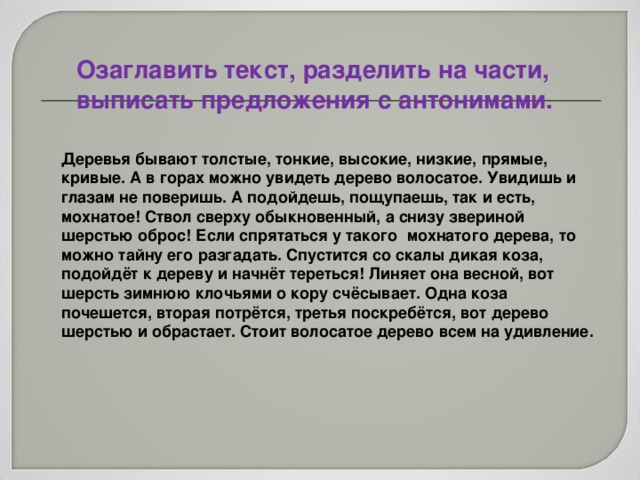 Снег бил в окна и клочьями прилипал к стенкам знаки препинания