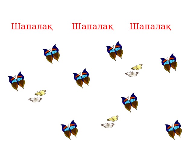 Шапалақ Шапалақ Шапалақ 