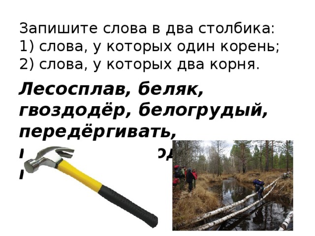 Запишите слова в два столбика:  1) слова, у которых один корень;  2) слова, у которых два корня. Лесосплав, беляк, гвоздодёр, белогрудый, передёргивать, подводник, водопад, переправа. 