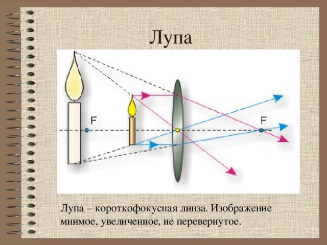 Лупа http : //www.fizika.ru Лупа – короткофокусная линза. Изображение мнимое, увеличенное, не перевернутое.  