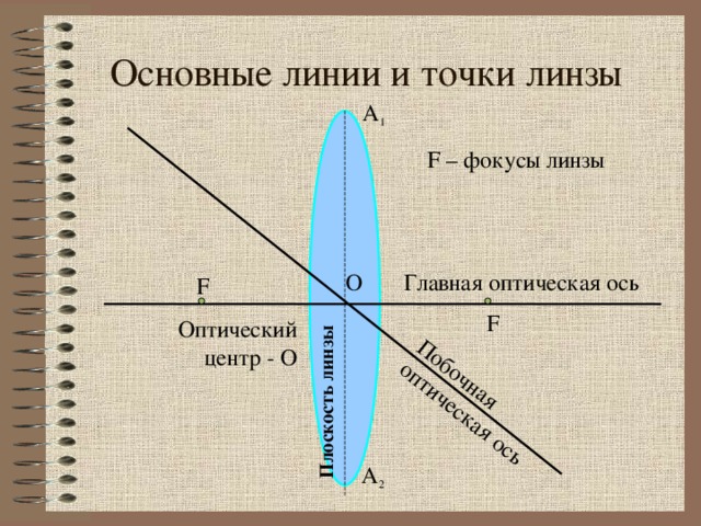 Побочная оптическая ось Плоскость линзы Основные линии и точки линзы А 1 F – фокусы линзы Главная оптическая ось О F F Оптический центр - О А 2 