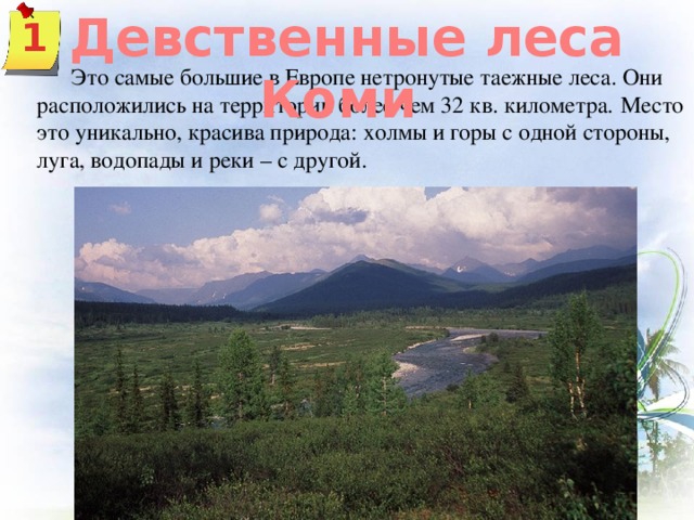 Девственные леса Коми 1  Это самые большие в Европе нетронутые таежные леса. Они расположились на территории более чем 32 кв. километра.  Место это уникально, красива природа: холмы и горы с одной стороны, луга, водопады и реки – с другой.