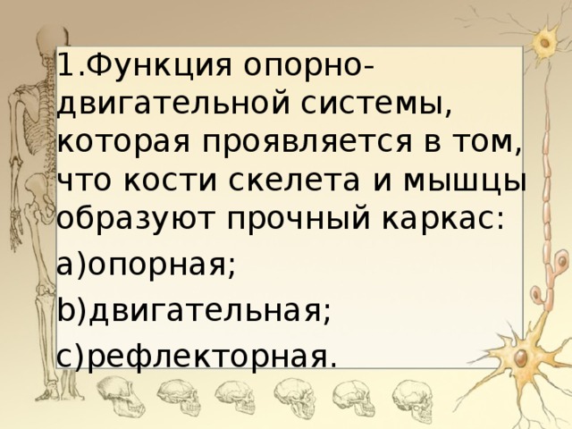 1.Функция опорно-двигательной системы, которая проявляется в том, что кости скелета и мышцы образуют прочный каркас: a)опорная; b)двигательная; c)рефлекторная.