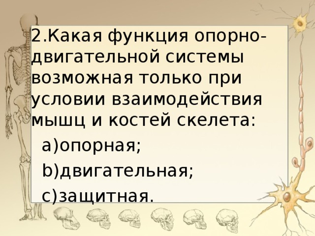 2. Какая функция опорно-двигательной системы возможная только при условии взаимодействия мышц и костей скелета: a) опорная; b) двигательная; c) защитная.