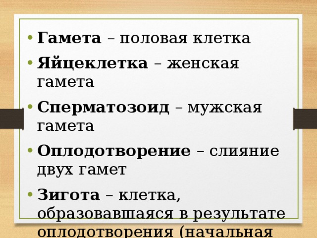 Гамета – половая клетка Яйцеклетка – женская гамета Сперматозоид – мужская гамета Оплодотворение – слияние двух гамет Зигота – клетка, образовавшаяся в результате оплодотворения (начальная стадия развития зародыша) 