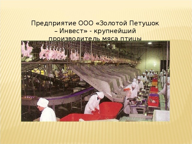 Предприятие ООО «Золотой Петушок – Инвест» - крупнейший производитель мяса птицы 
