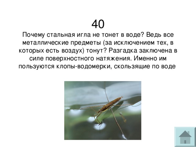 Если поверхность воды колеблется то изображения предметов в воде принимают причудливые формы почему