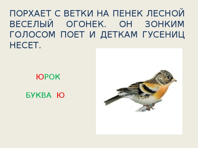 Буква ю картинки юрок